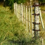 Vecinos denuncian intento de apropiación de área verde en la colonia Mártires de la Revolución.