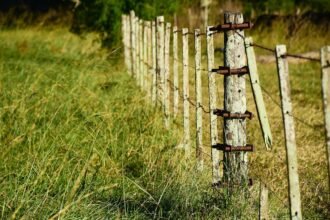 Vecinos denuncian intento de apropiación de área verde en la colonia Mártires de la Revolución.