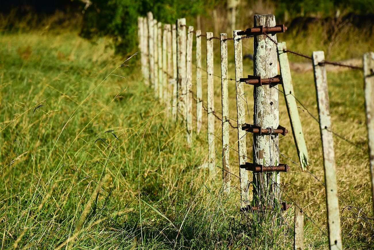 Vecinos denuncian intento de apropiación de área verde en la colonia Mártires de la Revolución.